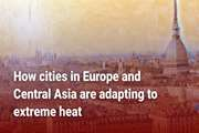 پنج راهی که شهرهای اروپا و آسیای مرکزی برای سازگاری با گرمای شدید به‌کار می‌گیرند