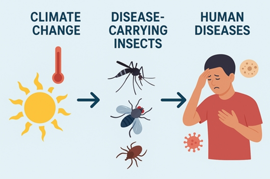 تغییرات اقلیمی و تأثیر بر چرخه‌های زیستی حشرات 